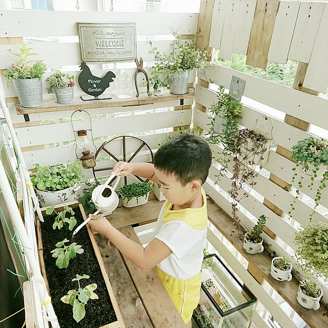 miporin0711さんの実例写真