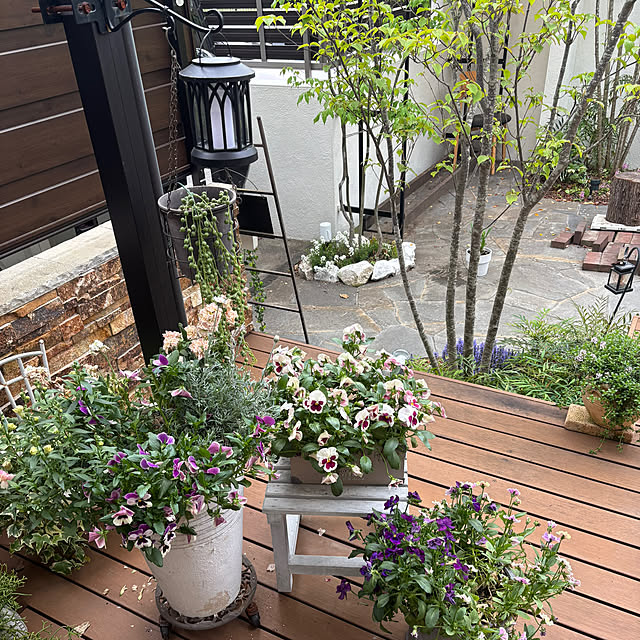 maimai0110さんの部屋