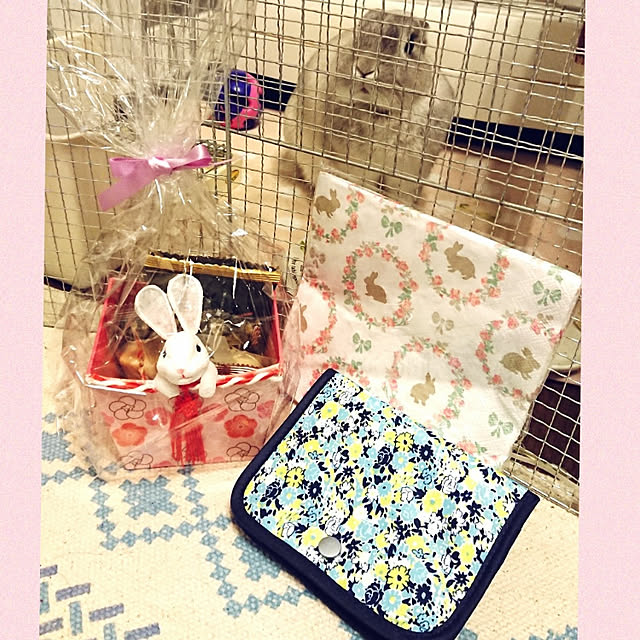yokomokoさんの実例写真