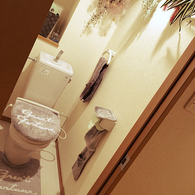 観葉植物/フェイクグリーン/ドライフラワー/3COINS/バス/トイレのインテリア実例 - 2020-04-15 21:25:14