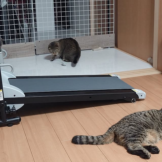 noguriさんの部屋