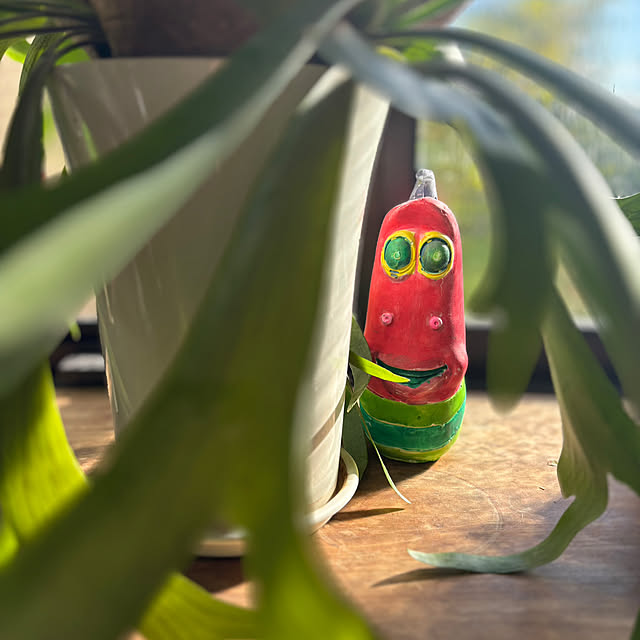 timtamさんの部屋