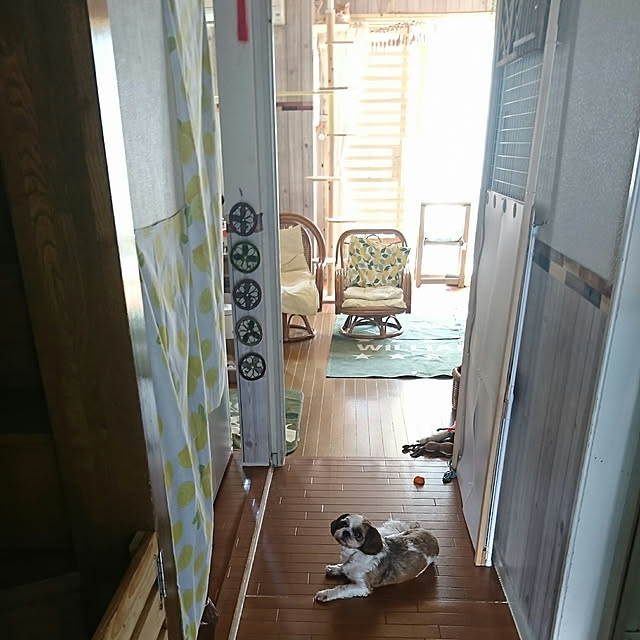 SHIHOさんの実例写真