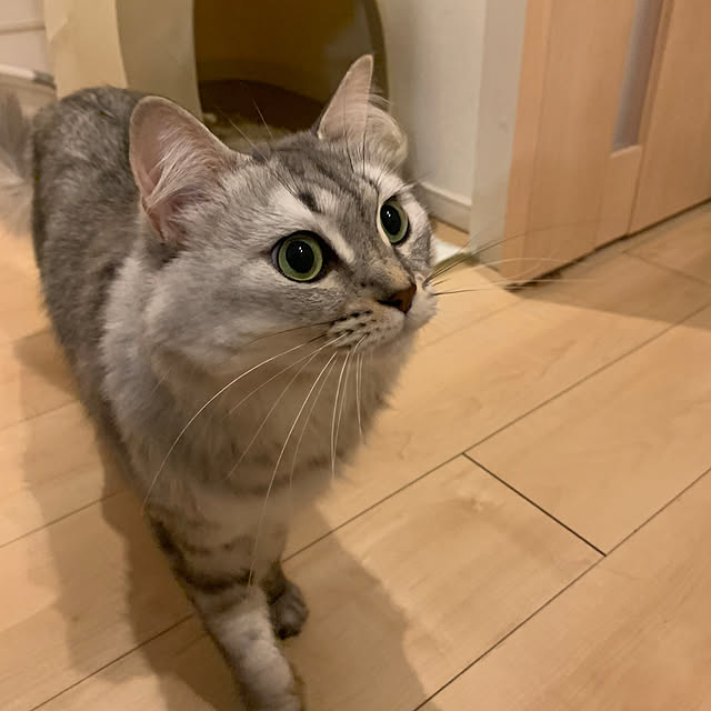 kkkさんの実例写真