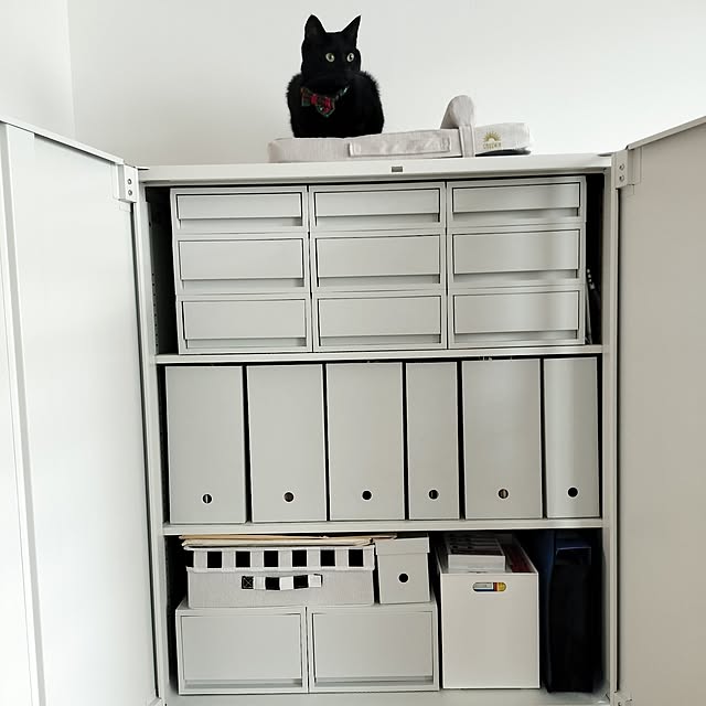 sakuraさんの部屋