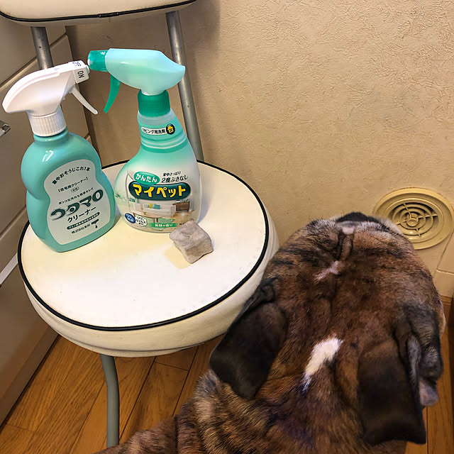 chi_gogaさんの実例写真