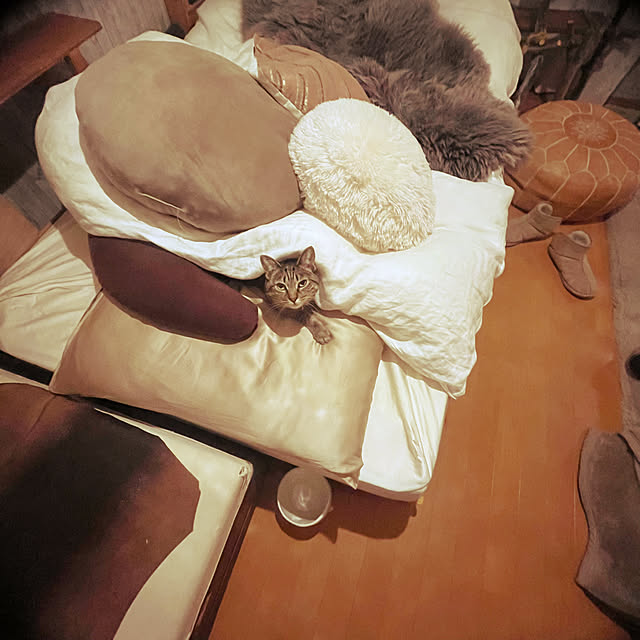 Mさんの部屋