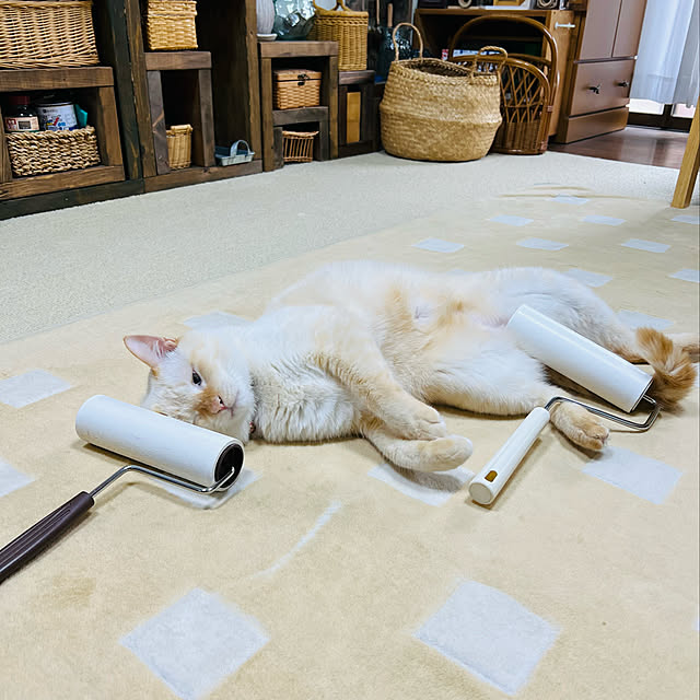 mohhaさんの実例写真