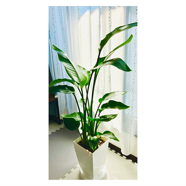 kmskさんの部屋