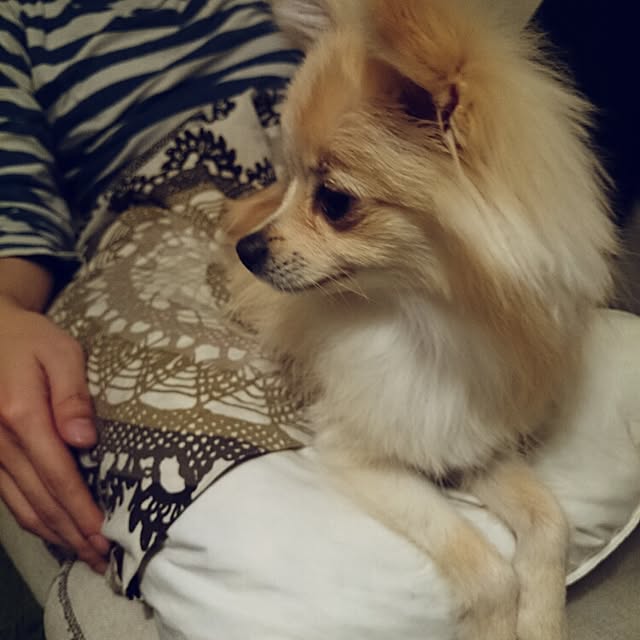 nicoco.さんの実例写真