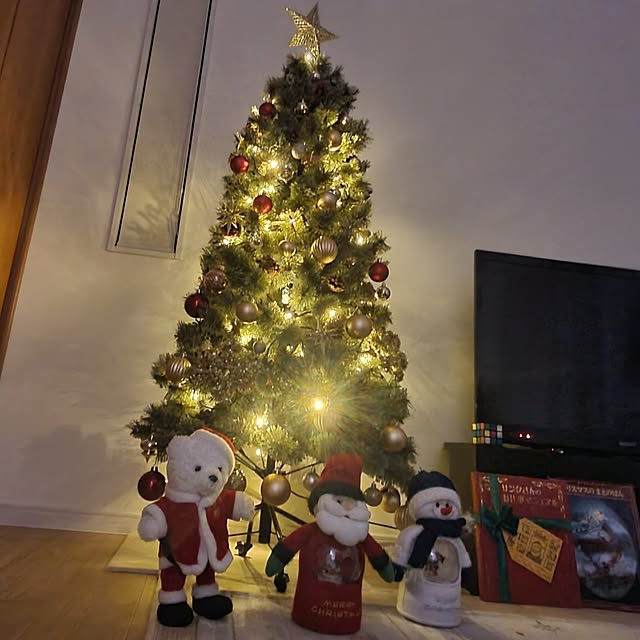 tokkiさんの実例写真