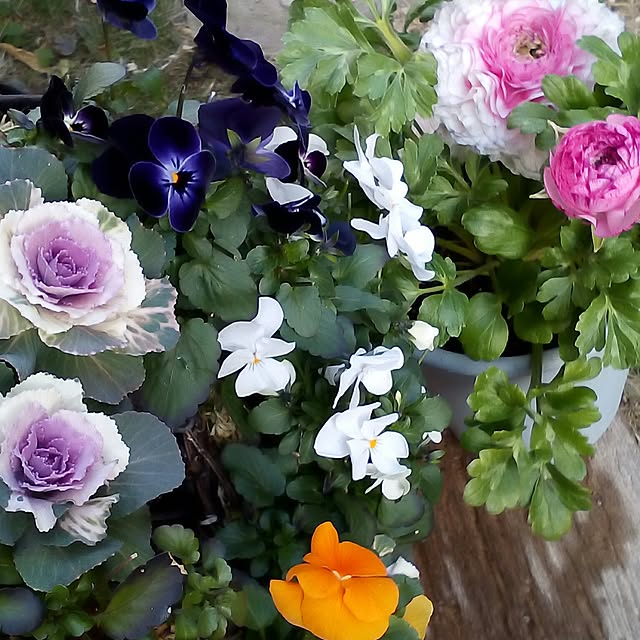 mariagardenさんの実例写真
