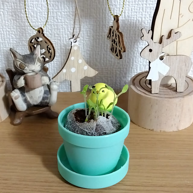 25Moondropsさんの実例写真