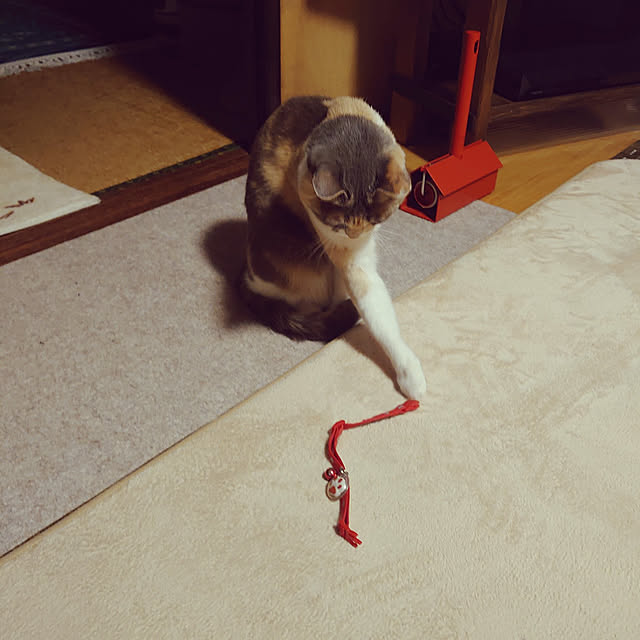 fukuさんの実例写真