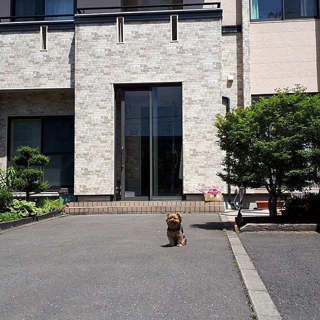 玄関/入り口のインテリア実例 - 2019-06-04 08:39:35