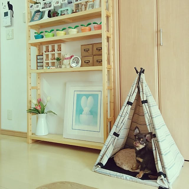 miyuさんの実例写真