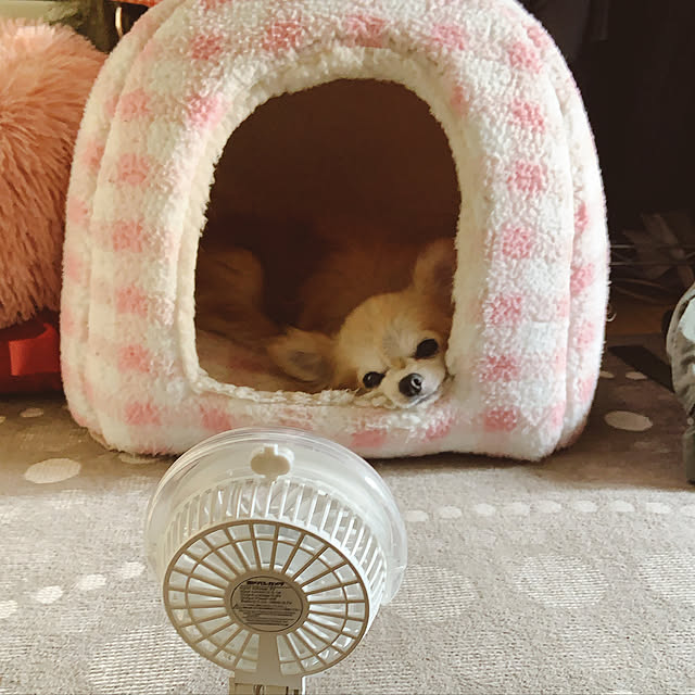 Emafuさんの実例写真
