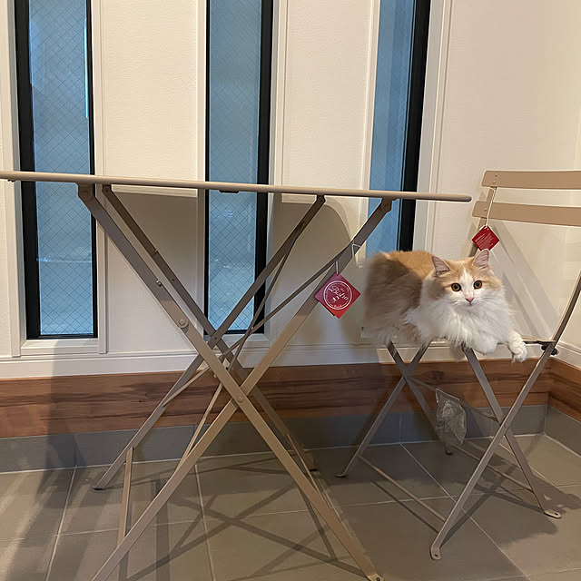 lovecofさんの実例写真
