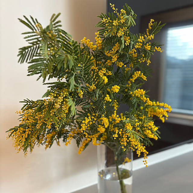 k-k-mamaさんの部屋