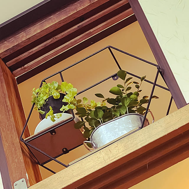 hanaori3さんの実例写真