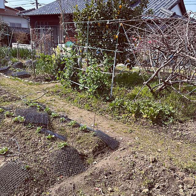 ayayayayaさんの実例写真