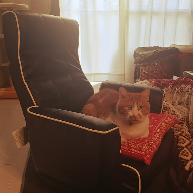 nyanyakoさんの実例写真