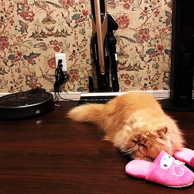zaki_yuさんの実例写真
