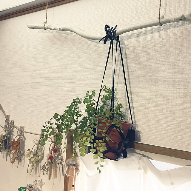 1banbosiさんの実例写真