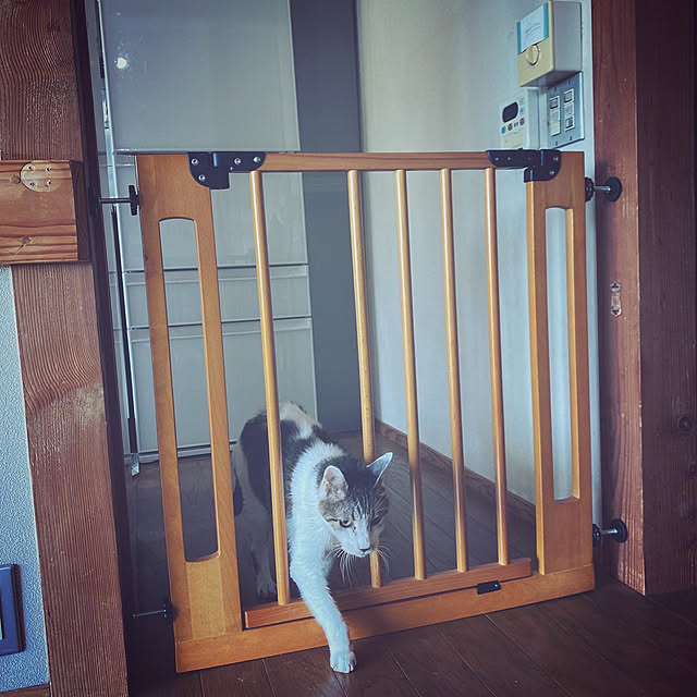 pipi_chocolateさんの実例写真