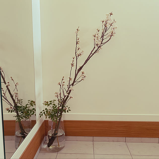 SHOKOさんの実例写真