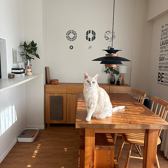 hiyupan88さんの実例写真