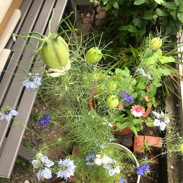 asako.10さんの実例写真