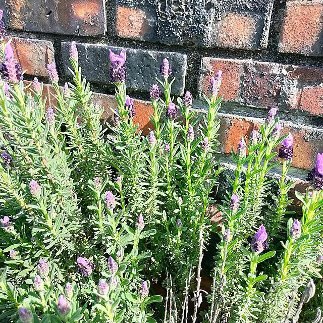 michiさんの部屋