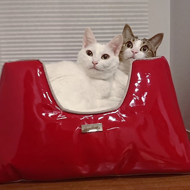 karenさんの実例写真