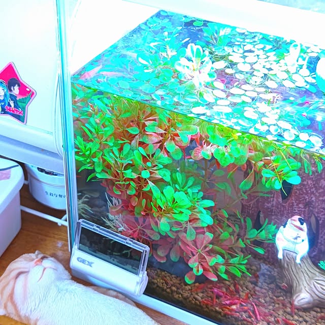 mariaさんの部屋