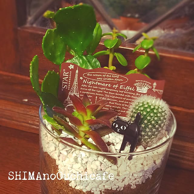 SHIMAさんの実例写真