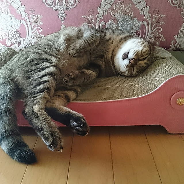 lilyさんの実例写真