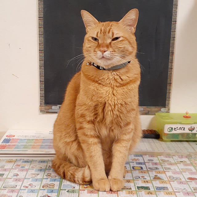 amtさんの実例写真