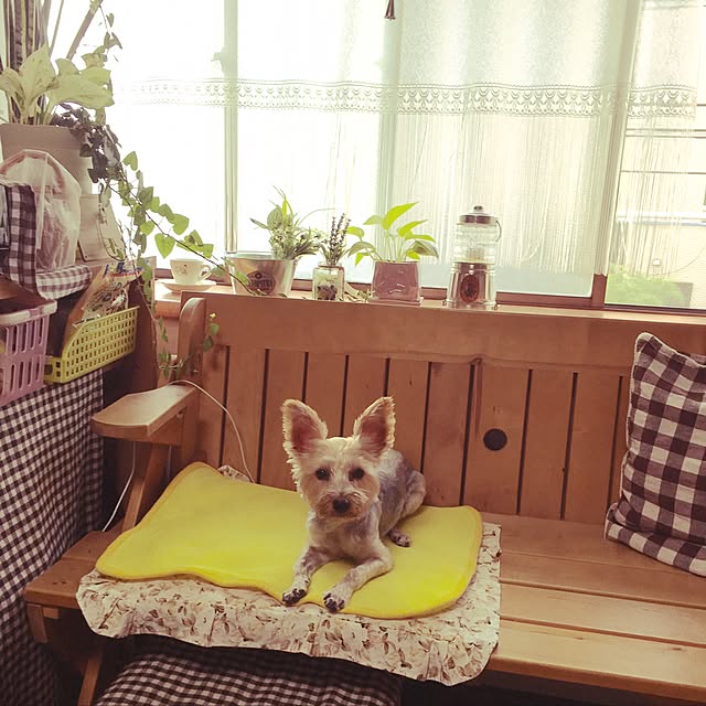 i_chiさんの実例写真