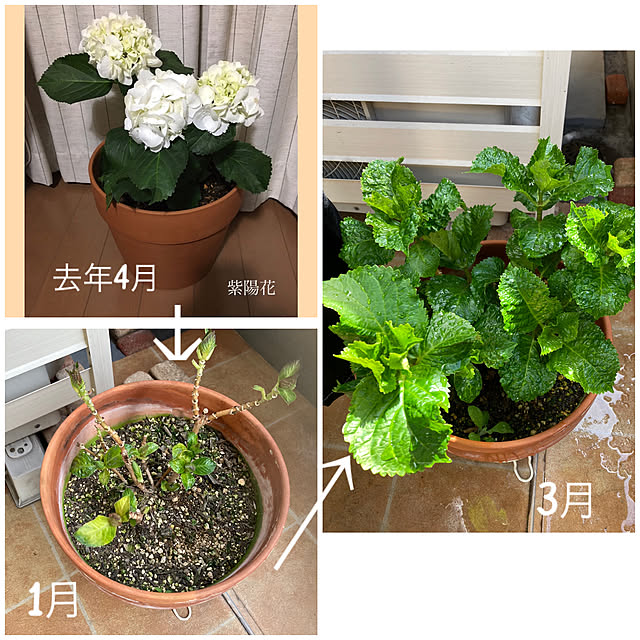 akezouさんの実例写真