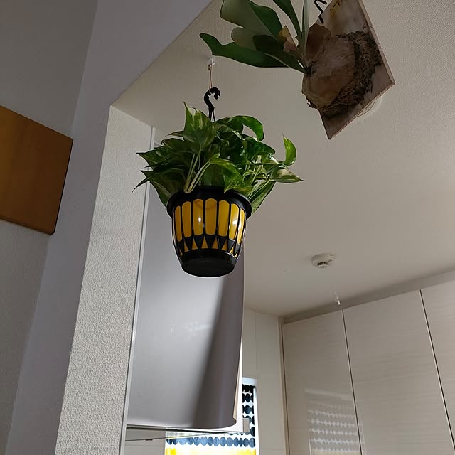 reguさんの部屋