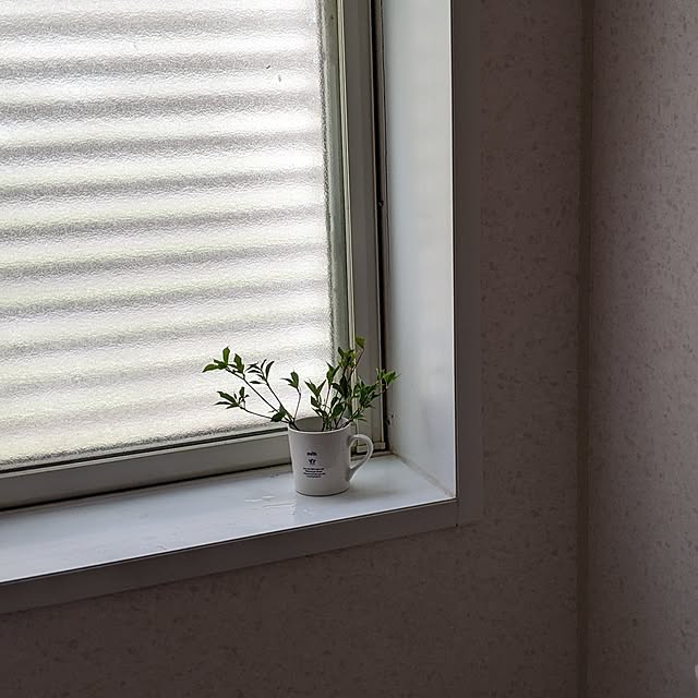 jajaさんの部屋