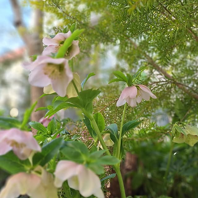 souさんの部屋