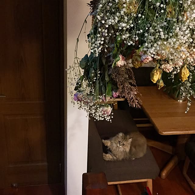 butachanさんの実例写真