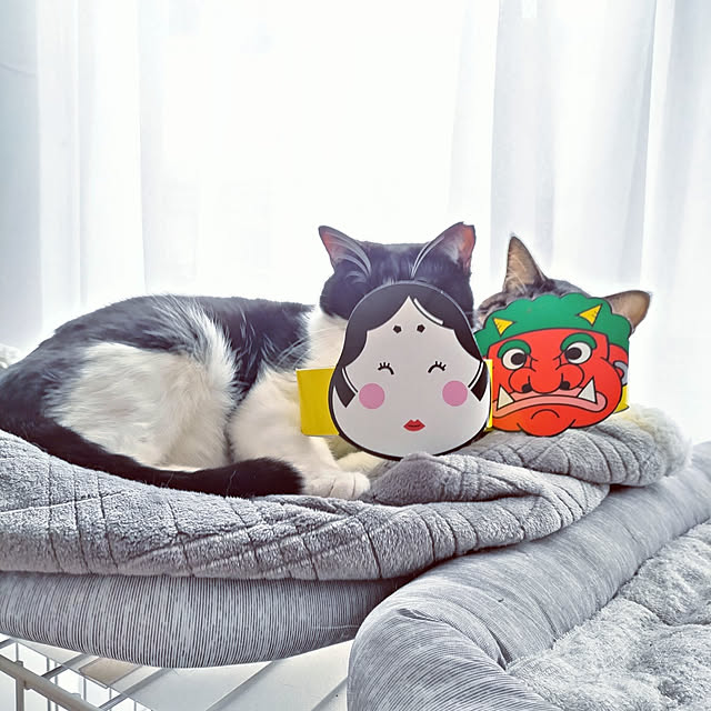 hihaさんの実例写真