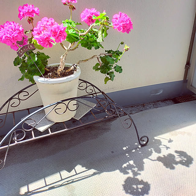 chaco500さんの実例写真