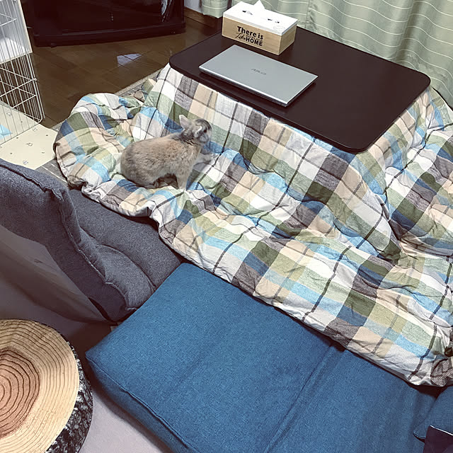 acoさんの実例写真