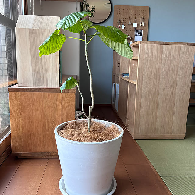 sakiさんの実例写真