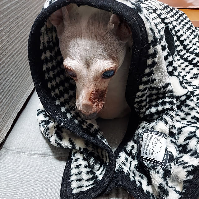nobuさんの実例写真