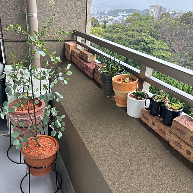 koshiregutyoさんの部屋
